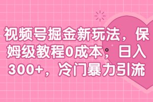 （6802期）视频号掘金新玩法，保姆级教程0成本，日入300+，冷门暴力引流[中创网]