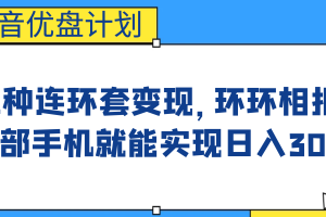 （6800期）影音优盘计划，三种连环套变现，环环相扣，一部手机就能实现日入300+[中创网]