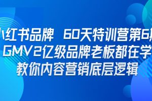 （6798期）小红书品牌 60天特训营第6期 GMV2亿级品牌老板都在学 教你内容营销底层逻辑[中创网]