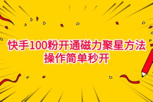 （6823期）最新外面收费398的快手100粉开通磁力聚星方法操作简单秒开[中创网]