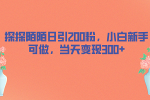 （6817期）探探陌陌日引200粉，小白新手可做，当天就能变现300+[中创网]