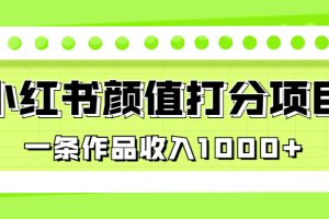 （6804期）适合0基础小白的小红书颜值打分项目，一条作品收入1000+[中创网]