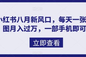 （6851期）八月新风口，小红书虚拟项目一天收入1000+，实战揭秘[中创网]