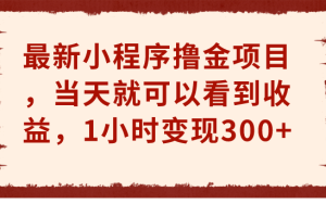 （6885期）最新小程序撸金项目，当天就可以看到收益，1小时变现300+[中创网]