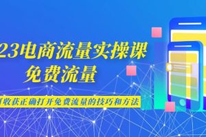 （6880期）2023电商流量实操课-免费流量，学会可收获正确打开免费流量的技巧和方法[中创网]