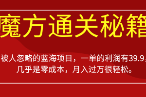 （6936期）被人忽略的蓝海项目，魔方通关秘籍一单利润有39.9，几乎是零成本，月….[中创网]