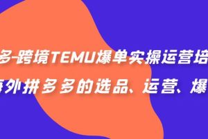 （6934期）拼多多-跨境TEMU爆单实操运营培训班，海外拼多多的选品、运营、爆单[中创网]