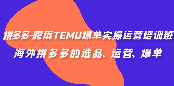 （6934期）拼多多-跨境TEMU爆单实操运营培训班，海外拼多多的选品、运营、爆单