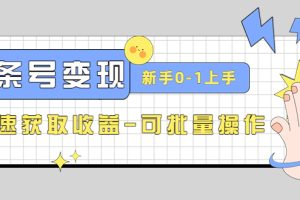 （4599期）2023头条号实操变现课：新手0-1轻松上手，快速获取收益-可批量操作[中创网]