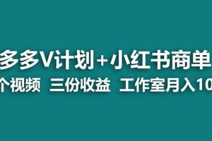 （6999期）【蓝海项目】多多v计划+小红书商单 一个视频三份收益 工作室月入10w[中创网]