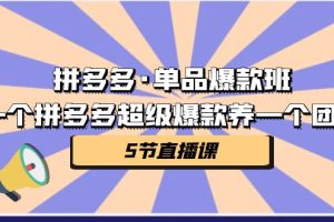 （7019期）拼多多·单品爆款班，一个拼多多超级爆款养一个团队（5节直播课）[中创网]