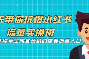 （7041期）5天带你玩爆小红书流量实操班，小红书种草是内容营销的重要流量入口[中创网]