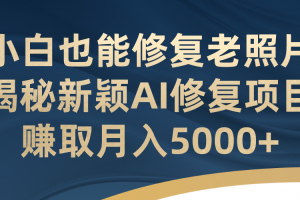 （7072期）小白也能修复老照片！揭秘新颖AI修复项目，赚取月入5000+[中创网]