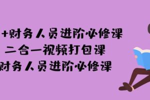 （7093期）AI + 财务人员进阶必修课二合一视频打包课，财务人员进阶必修课[中创网]