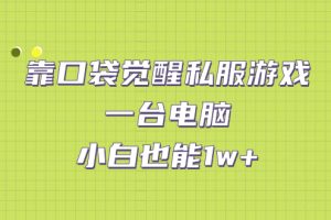 （7113期）靠口袋觉醒私服游戏，一台电脑，小白也能1w+（教程+工具+资料）[中创网]