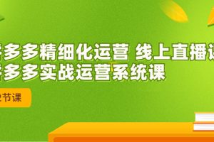 （7151期）2023年8月新课-拼多多精细化运营 线上直播课：拼多多实战运营系统课-42节[中创网]