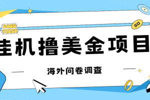 （7196期）最新挂机撸美金礼品卡项目，可批量操作，单机器200+【入坑思路+详细教程】[中创网]