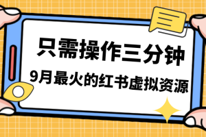 （7191期）一单50-288，一天8单收益500＋小红书虚拟资源变现，视频课程＋实操课＋…[中创网]