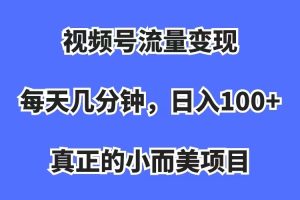 （7212期）视频号流量变现，每天几分钟，收入100+，真正的小而美项目[中创网]