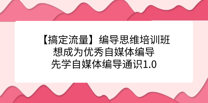 （7281期）【搞定流量】编导思维培训班，想成为优秀自媒体编导先学自媒体编导通识1.0