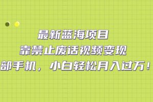 （7276期）最新蓝海项目，靠禁止废话视频变现，一部手机，小白轻松月入过万！[中创网]