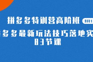 （7295期）2023拼多多·特训营高阶班【9月13日更新】拼多多最新玩法技巧落地实操-83节[中创网]