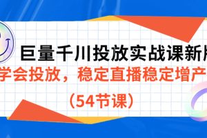 （7307期）巨量千川投放实战课新版，学会投放，稳定直播稳定增产（54节课）[中创网]