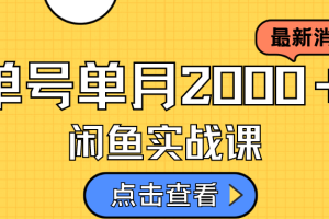 （7328期）咸鱼虚拟资料新模式，月入2w＋，可批量复制，单号一天50-60没问题 多号多撸[中创网]