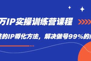 （7354期）百万IP实战训练营课程，完整的IP孵化方法，解决做号99%的问题[中创网]