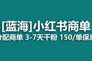 （7349期）2023蓝海项目，小红书商单，快速千粉，长期稳定，最强蓝海没有之一[中创网]