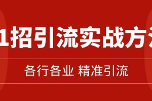 （7386期）精准引流术：11招引流实战方法，让你私域流量加到爆（11节课完整版）[中创网]