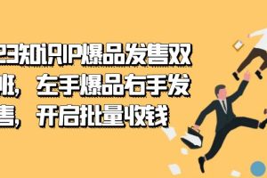 （7426期）2023知识IP-爆品发售双 阶班，左手爆品右手发售，开启批量收钱[中创网]