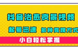 （7414期）抖音治愈系夜景视频，起号迅速，多种变现方式，小白轻松掌握（附120G素材）[中创网]