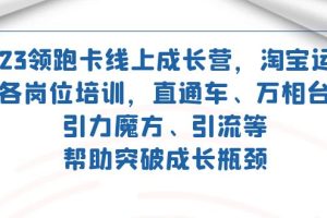 （7462期）2023领跑·卡 线上成长营 淘宝运营各岗位培训 直通车 万相台 引力魔方 引流[中创网]