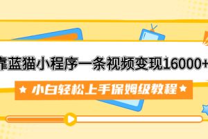 （7595期）靠蓝猫小程序一条视频变现16000+小白轻松上手保姆级教程（附166G资料素材）[中创网]