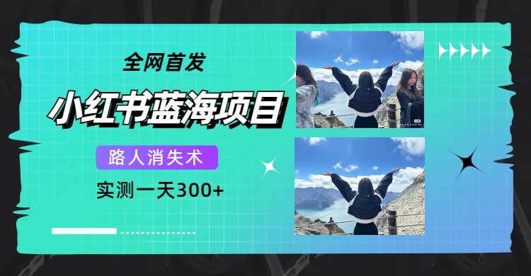 （7537期）全网首发，小红书蓝海项目，路人消失术，实测一天300+（教程+工具）