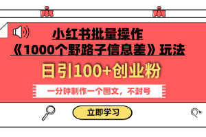 （7676期）小红书批量操作《1000个野路子信息差》玩法 日引100+创业粉 一分钟一个图文[中创网]