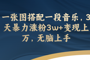 （7674期）一张图搭配一段音乐，3天暴力涨粉3w+变现上万，无脑上手[中创网]