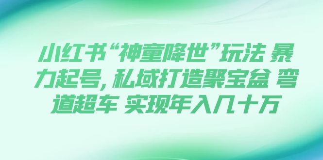 （7673期）小红书“神童降世”玩法 暴力起号,私域打造聚宝盆 弯道超车 实现年入几十万