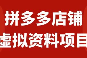 （7667期）拼多多店铺虚拟项目，教科书式操作玩法，轻松月入1000+[中创网]