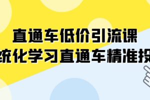 （7698期）直通车-低价引流课，系统化学习直通车精准投放（14节课）[中创网]