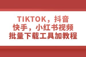 （7714期）TIKTOK，抖音，快手，小红书视频批量下载工具加教程[中创网]