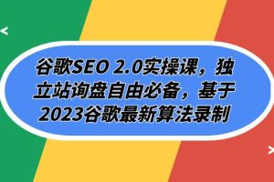 （7708期）谷歌SEO 2.0实操课，独立站询盘自由必备，基于2023谷歌最新算法录制（94节[中创网]