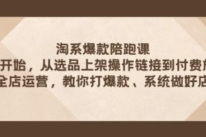 （7725期）淘系爆款陪跑课 从选品上架操作链接到付费放大 全店运营 打爆款 系统做好店[中创网]