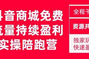 抖音商城搜索持续盈利陪跑成长营，抖音商城搜索从0-1、从1到10的全面解决方案