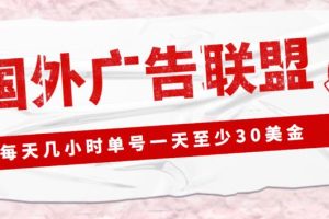 外面收费1980的最新国外LEAD广告联盟搬砖项目，单号一天至少30美金【详细玩法教程】