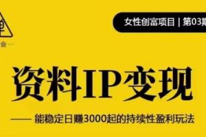 资料IP变现，能稳定日赚3000起的持续性盈利玩法