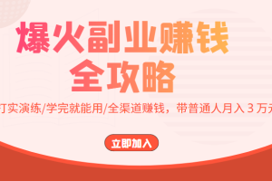 爆火副业赚钱全攻略：实打实演练/学完就能用/全渠道赚钱，带普通人月入３万元