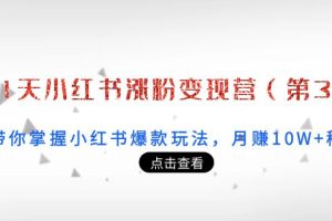 21天小红书涨粉变现营（第3期）：带你掌握小红书爆款玩法，月赚10W+秘密