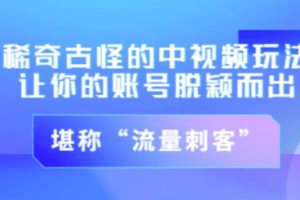 不讲李·稀奇古怪的冷门中视频冷门玩法，让你的账号脱颖而出，成为流量刺客！（图文+视频）